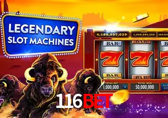 A Experiência Imersiva dos Cassinos Ao Vivo no 116Bet