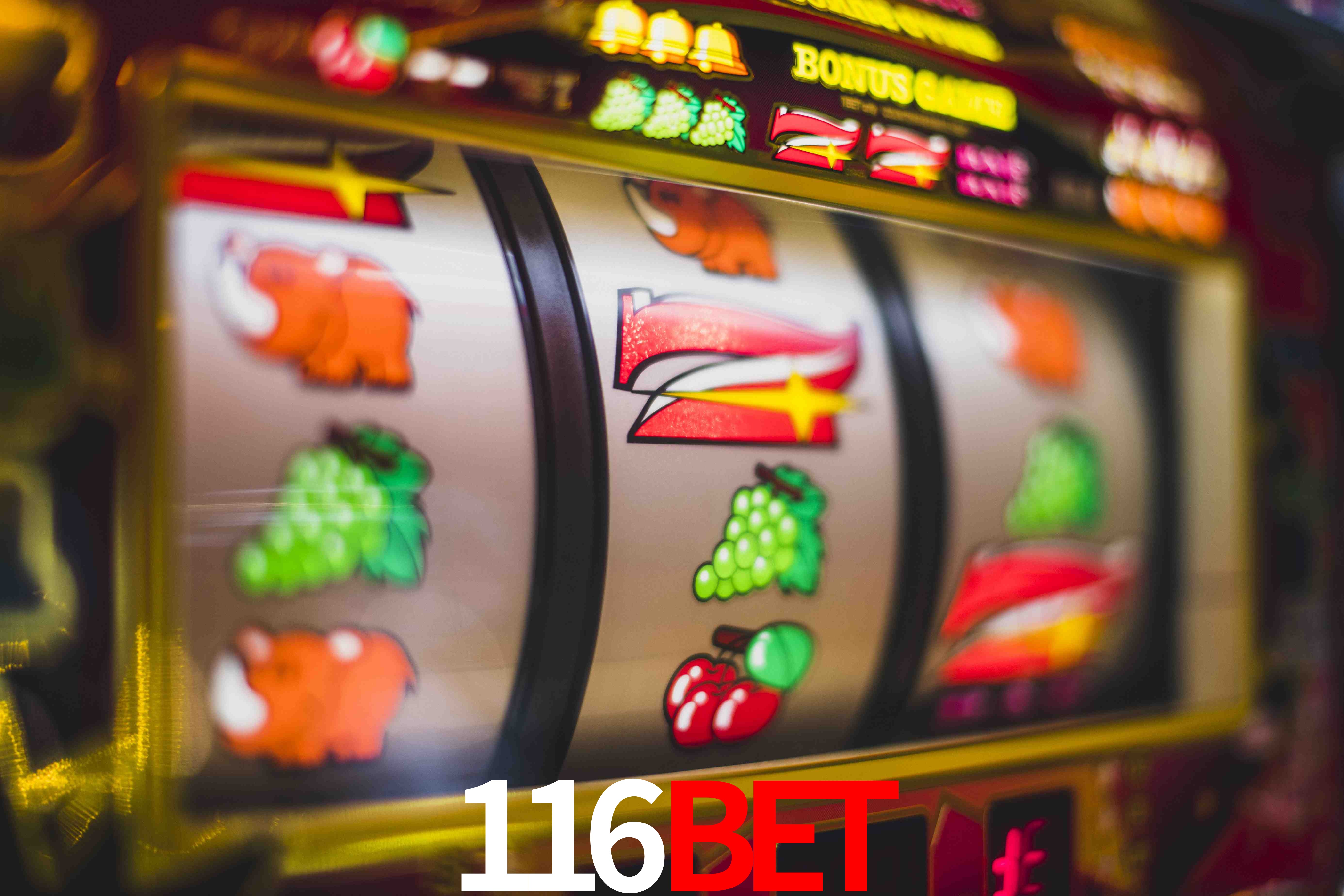 Sports Statistics 116Bet